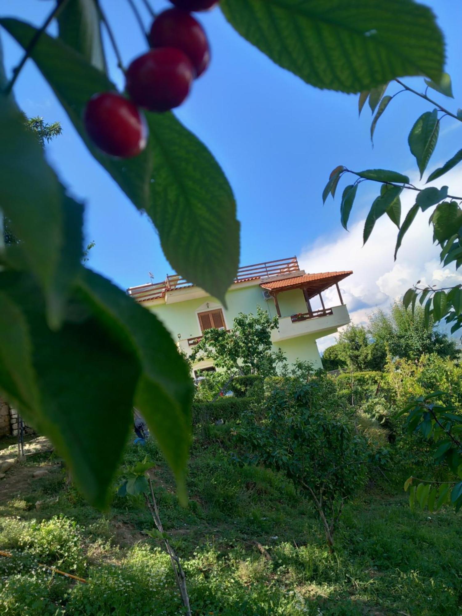 Vila Dean ベラト エクステリア 写真